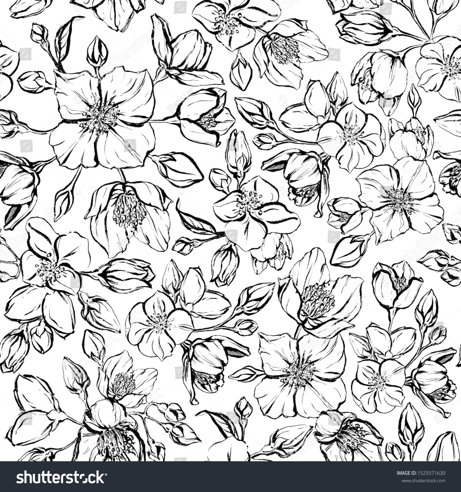 手描きの花柄のジャスミン 白黒のブーケとシンプルな花でセット インクで描いたグラフィックエレメント 花の枝 はがき用 のイラスト素材