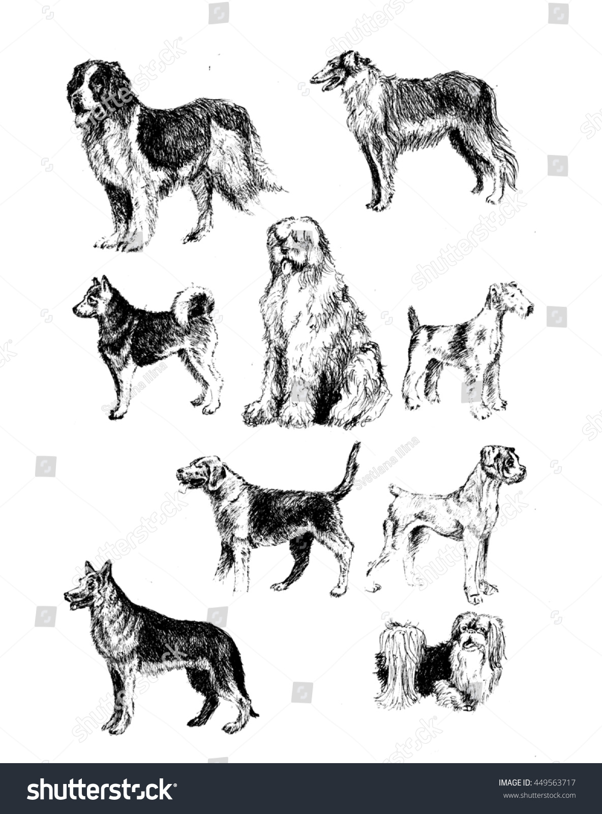 south australian german shepherd breeders hand drawn graphics set breeds dogs stock illustration 449563717 south australian german shepherd breeders hand drawn graphics set breeds dogs stock illustration 449563717