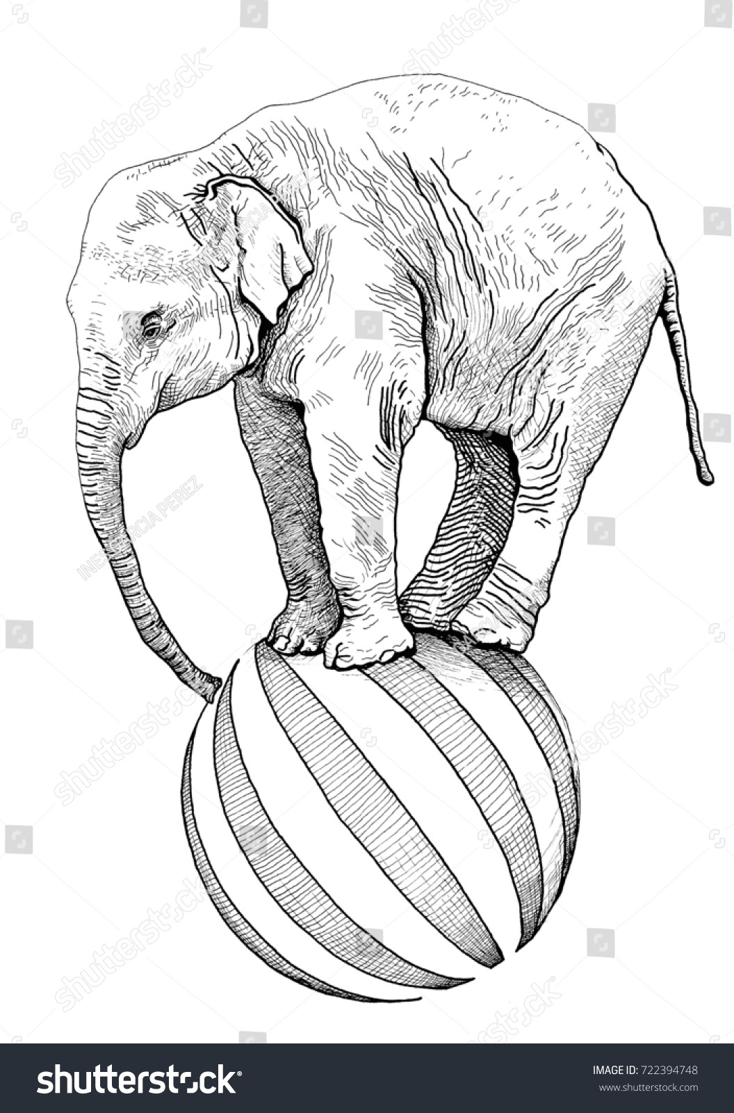 すべての動物の画像 75 象 イラスト リアル