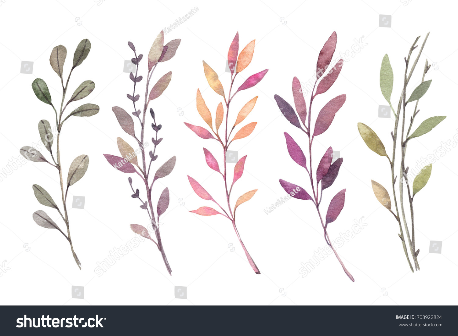 Hand Drawn Watercolor Illustrations Autumn Botanical Stock Illustration Shutterstock