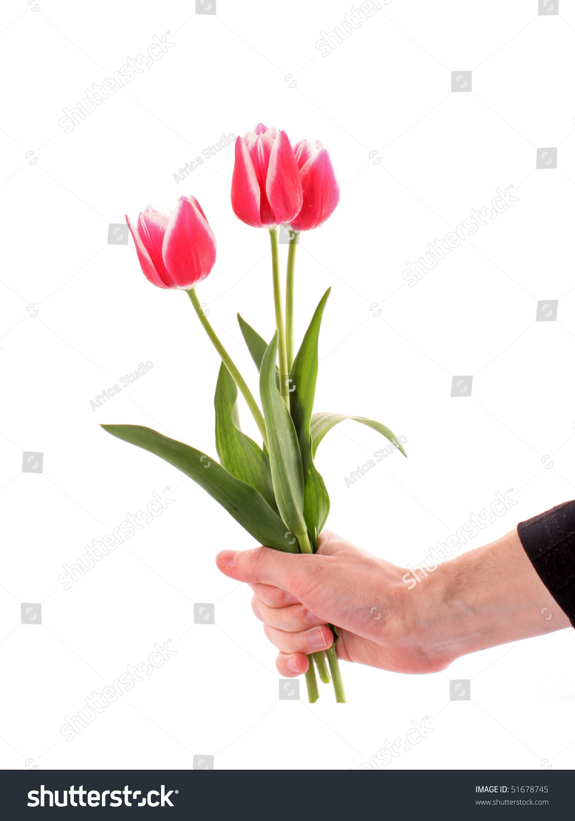 Hand Holding Flowers Isolated On White Stock Photo 51678745 - Shutterstock