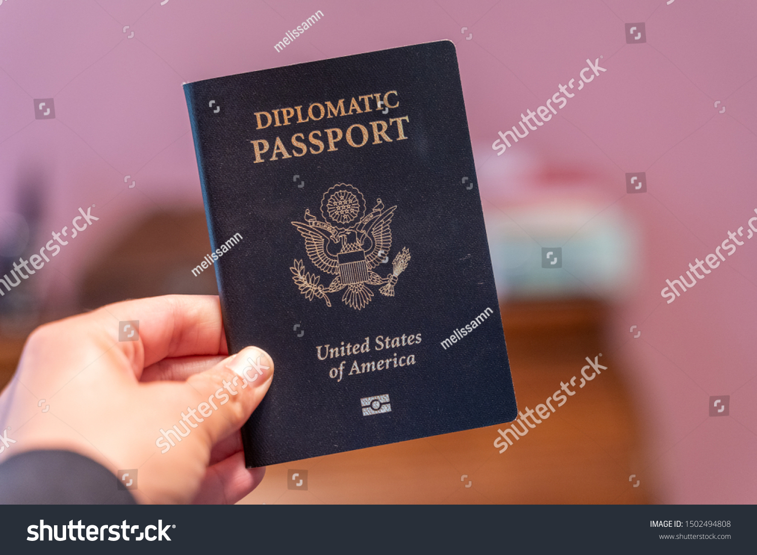 1-845-diplomatic-passport-images-stock-photos-vectors-shutterstock