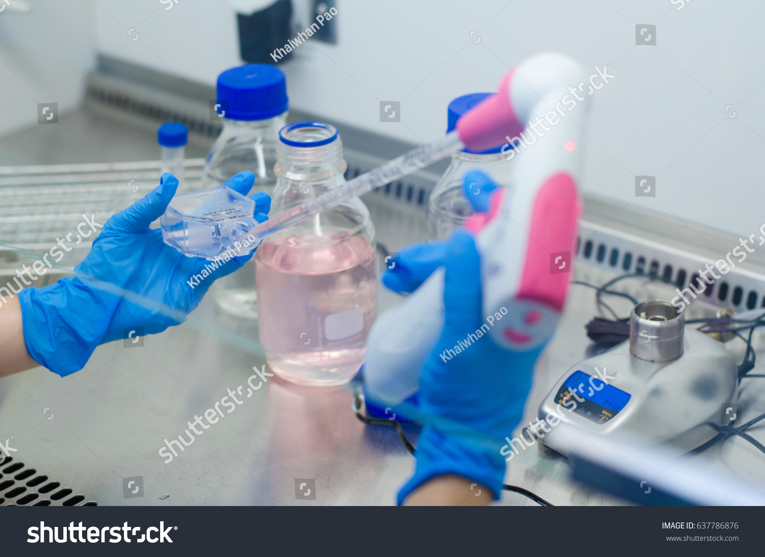 Hand S Woman Scientists Working On Stock Photo (Edit Now) 637786876