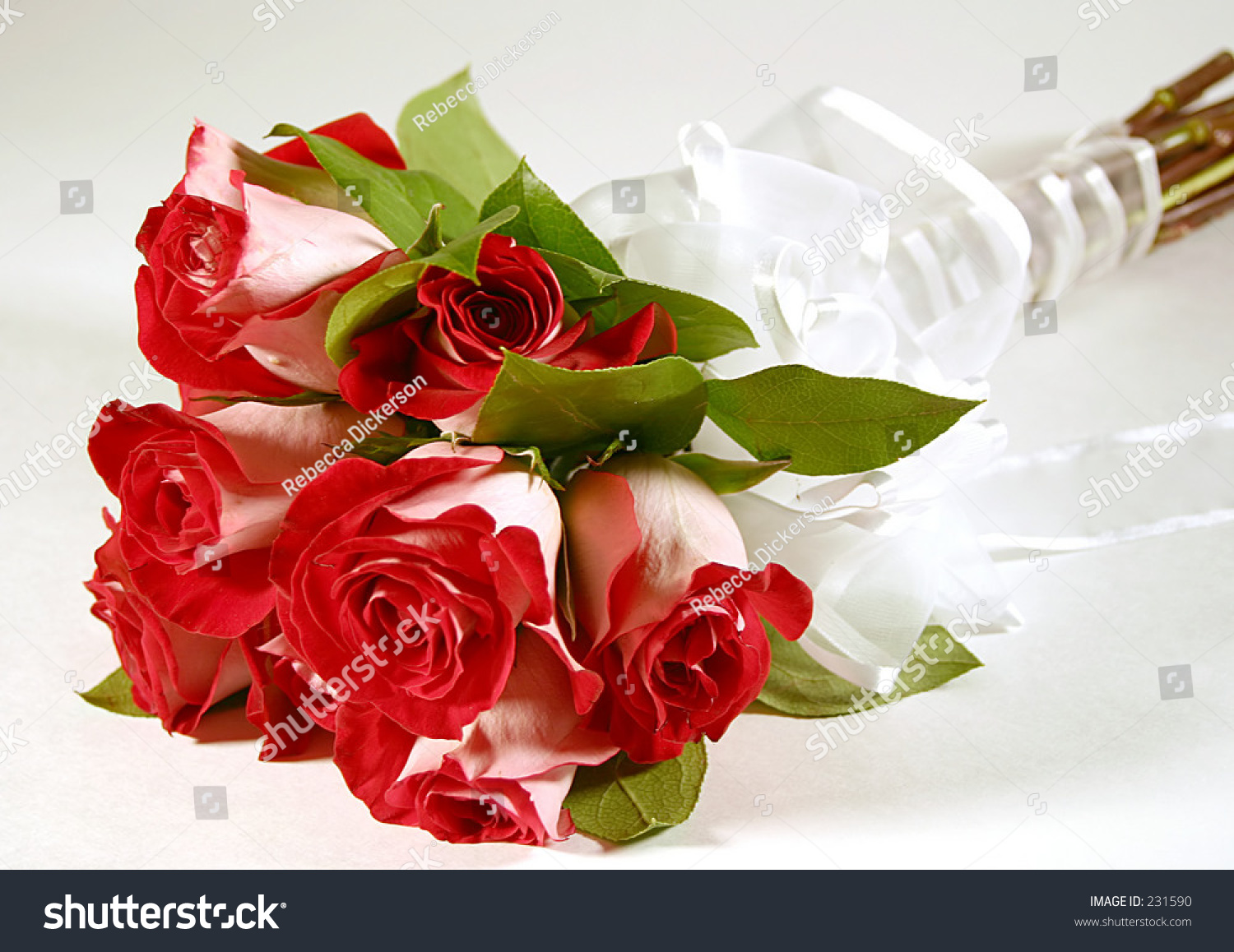 Handtied Bouquet Fire Ice Roses Stock Photo Edit Now