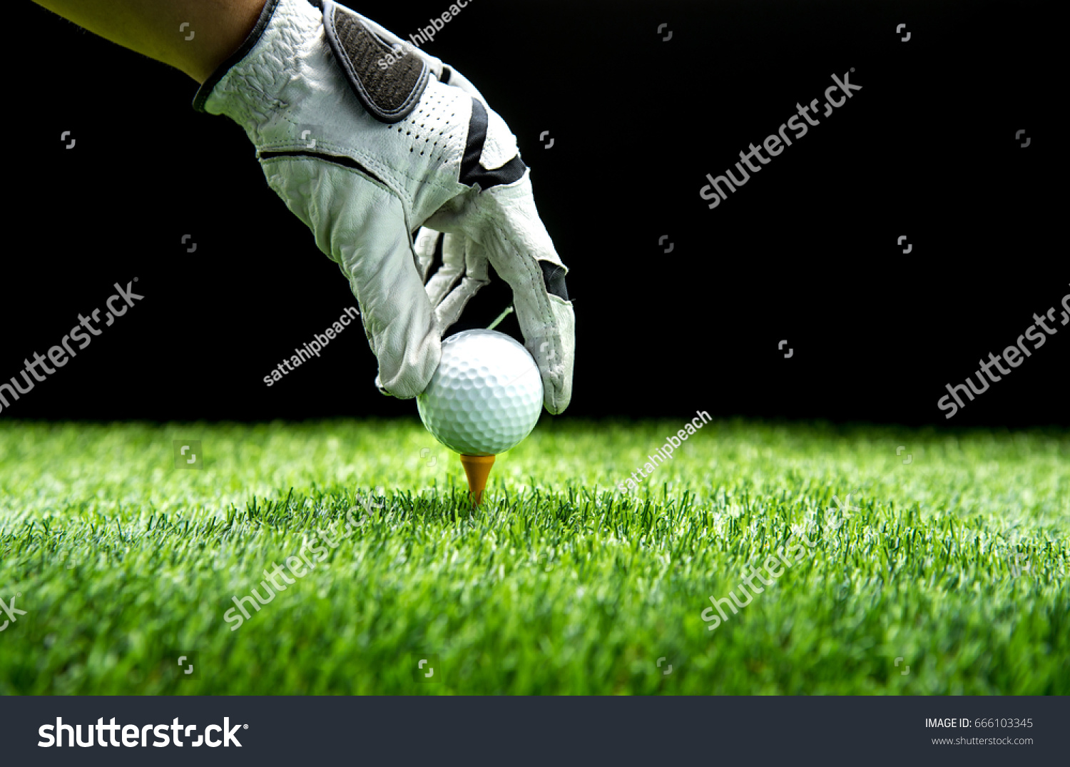 Hand Ware Leather Glove Putting Golf Stock Photo 666103345 