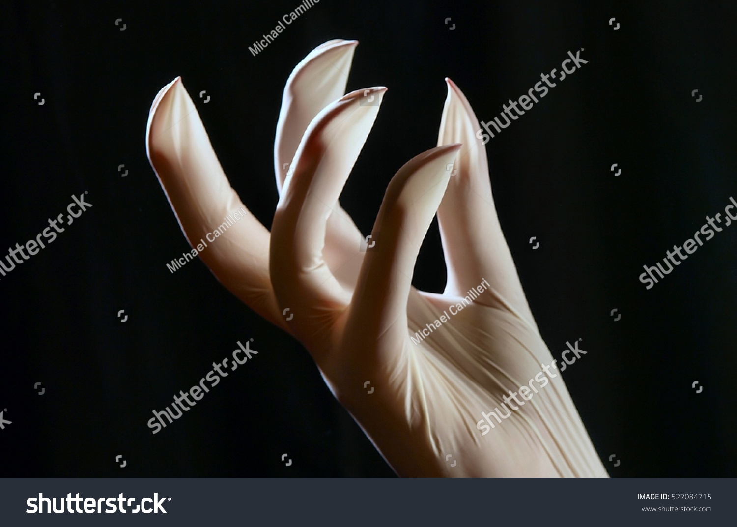 Hand Long Nails Wearing Latex Glove Stock Photo 522084715 Shutterstock