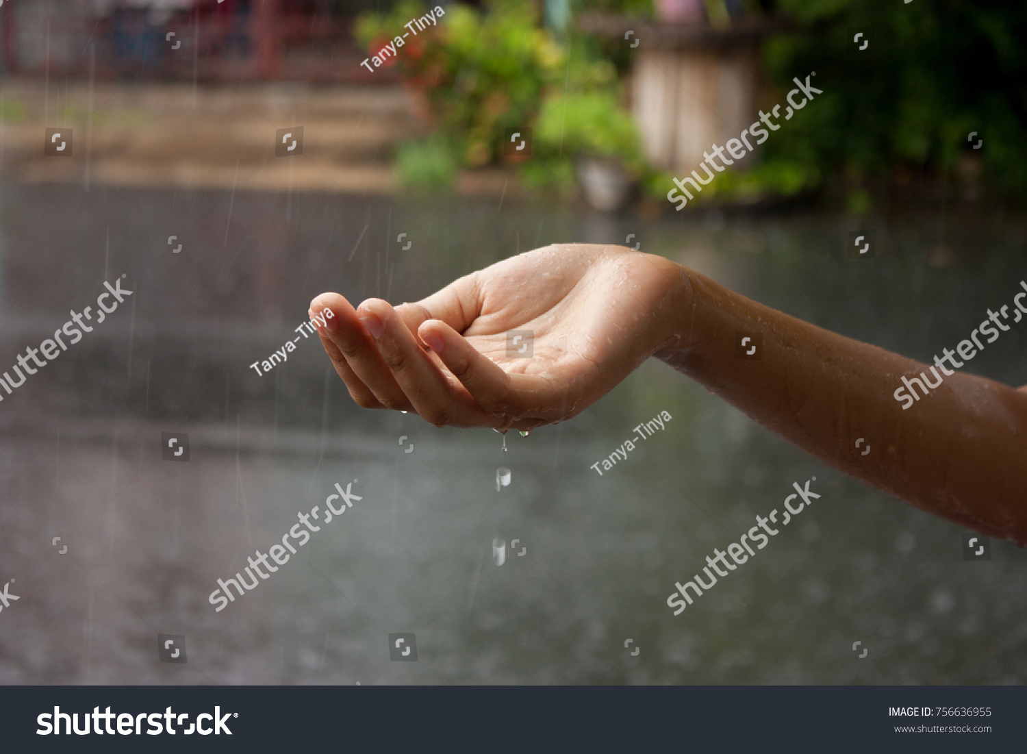 Hand Young Lady Touch Rain Drops Stock Photo 756636955 | Shutterstock