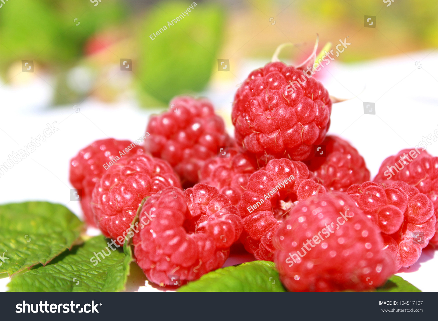 Handful Of Berries Of A Raspberry With Leaves Close Up Stock Photo ...