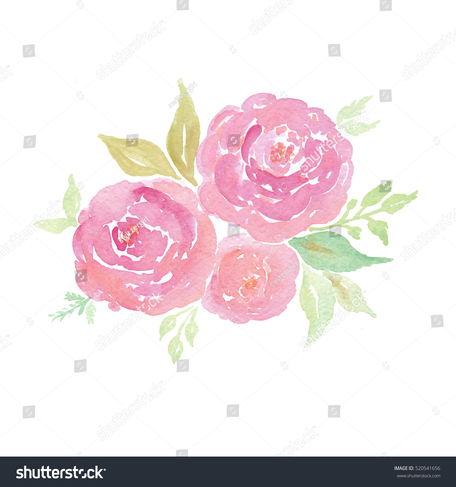 Download Handpainted Watercolor Flowers Clipart Watercolor Roses Stock Illustration 520541656