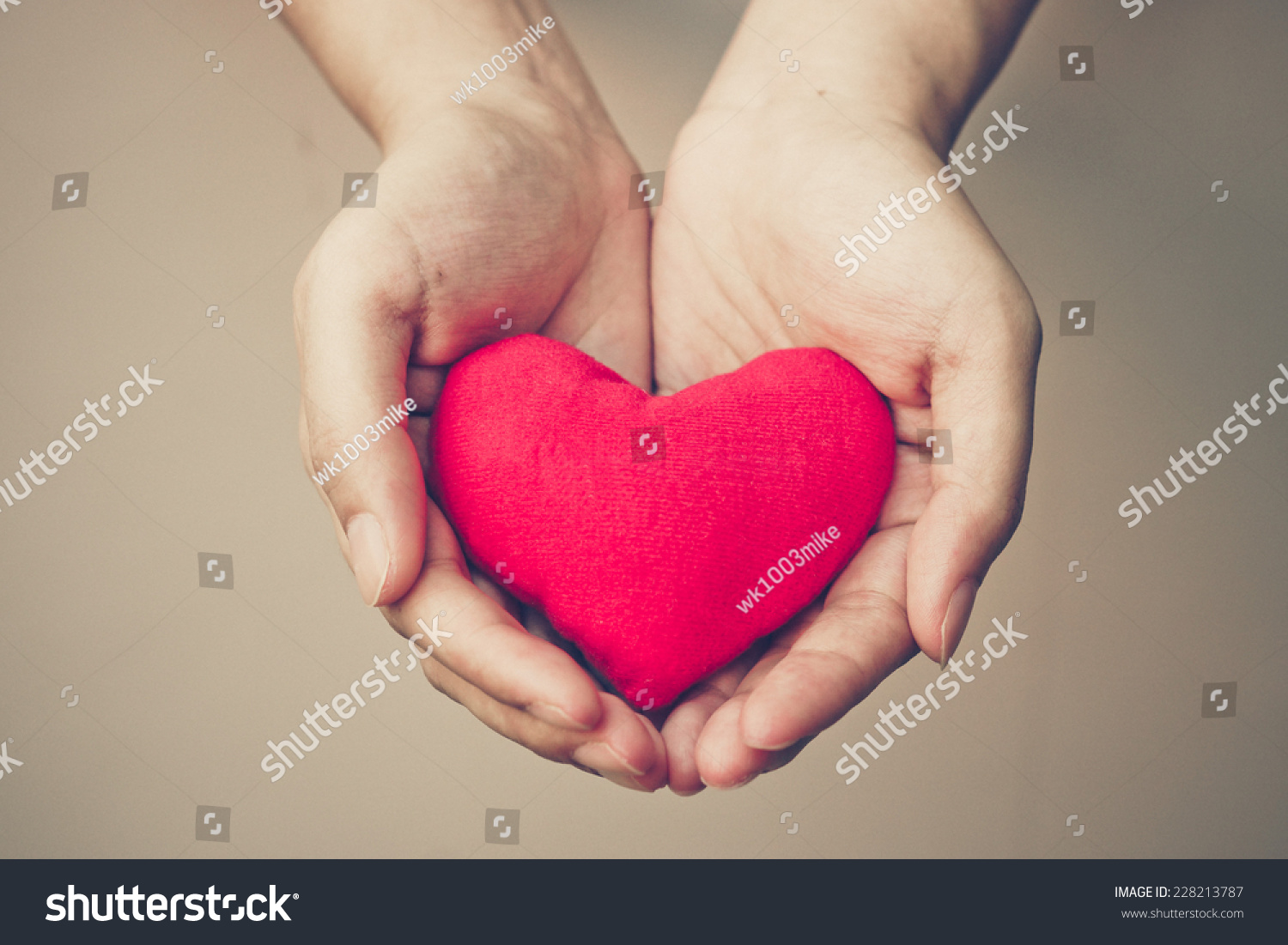 Hands Holding Red Heart Stock Photo (Edit Now) 228213787