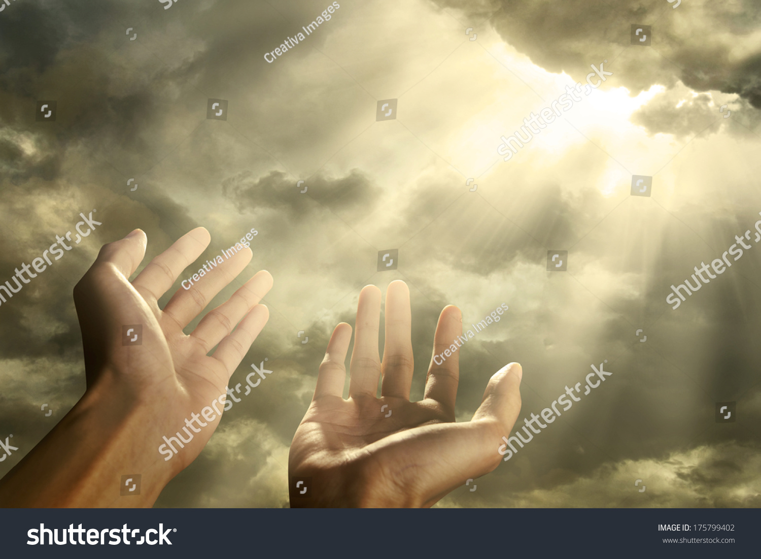 Hands Of A Man Reaching To Towards Sky Stock Photo 175799402 : Shutterstock