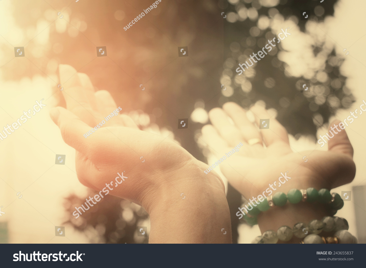 Hands Reaching Stock Photo 243655837 : Shutterstock