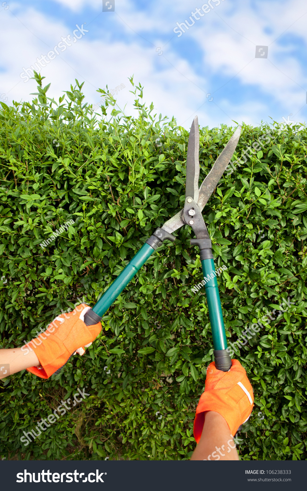 Garden Shears Garden Shears