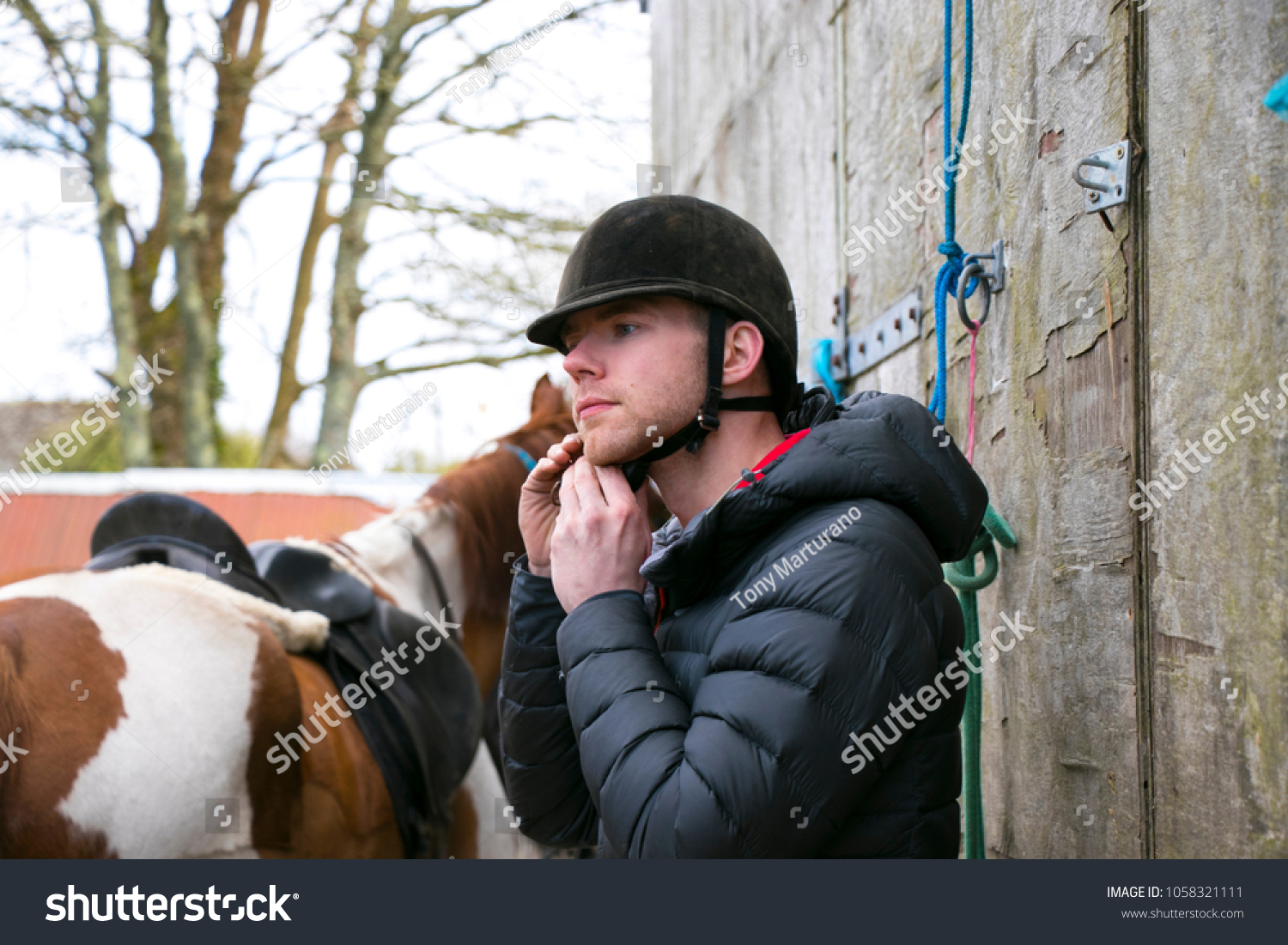 Handsome Male Horse Rider Fastening Helmet Stock Photo Edit Now