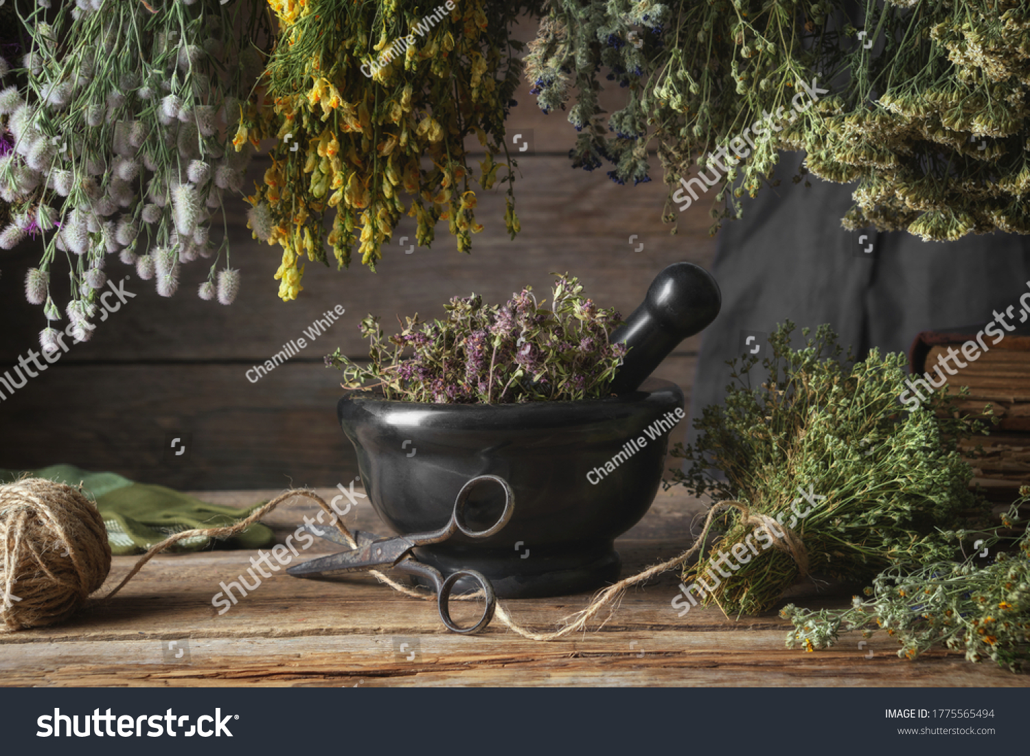 Hanging Bunches Medicinal Herbs Black Stone Stock Photo 1775565494 ...