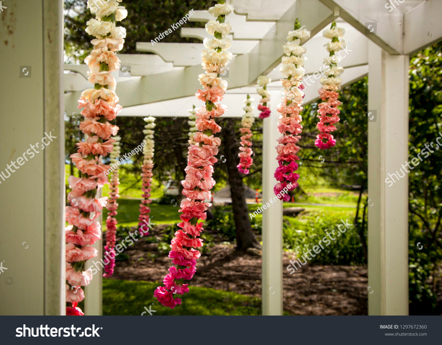 Hanging Flowers White Trellis Outdoor Decorations Nature