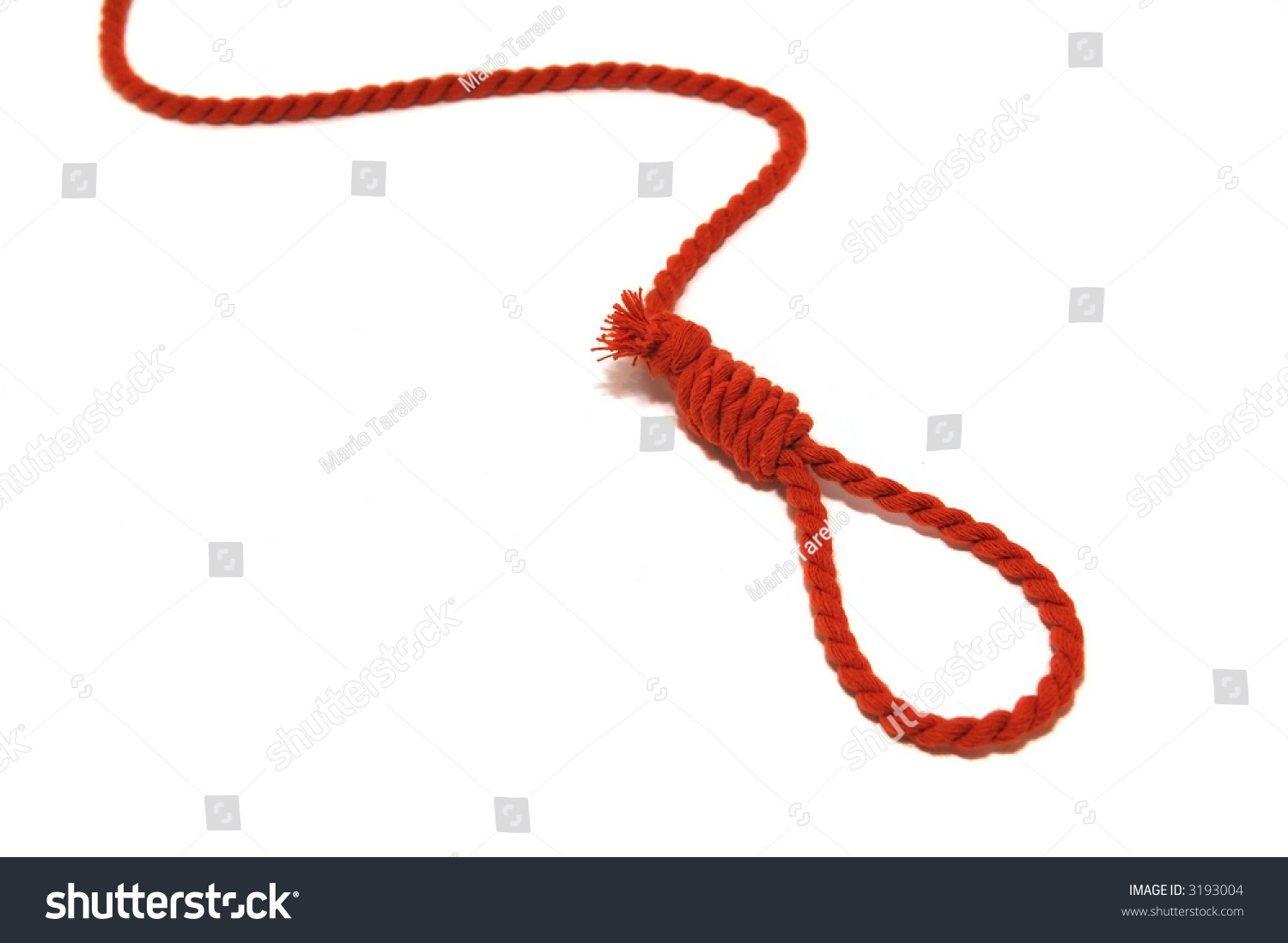 Hangman Knot Isolated On White Background Stock Photo 3193004 ...