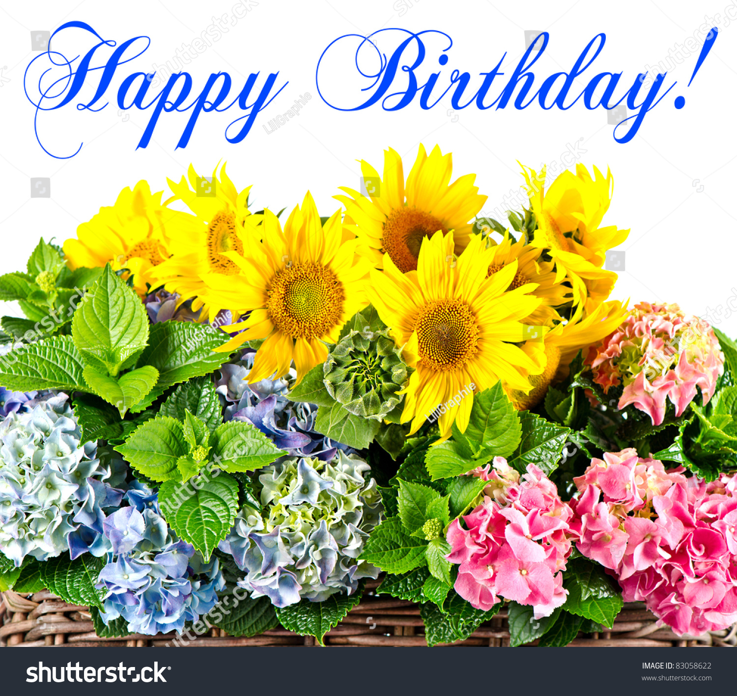 Happy Birthday Card Concept Colorful Sunflowers Stock Photo 83058622 ...