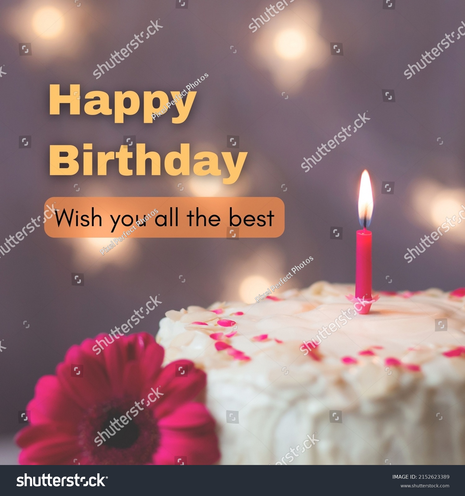 Happy Birthday Card Wish Your Friends Stock Illustration 2152623389 ...