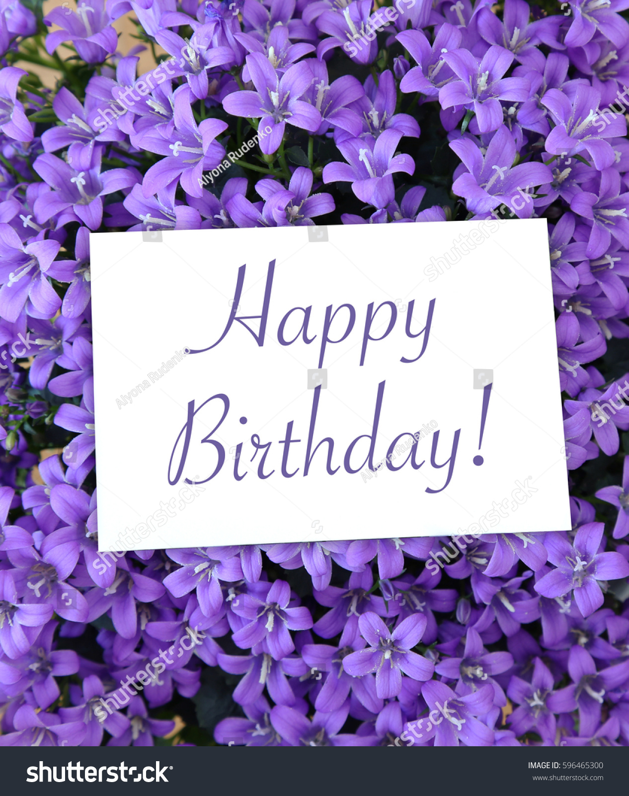 stock photo happy birthday greeting card on the background of the small purple flowers of campanula 596465300