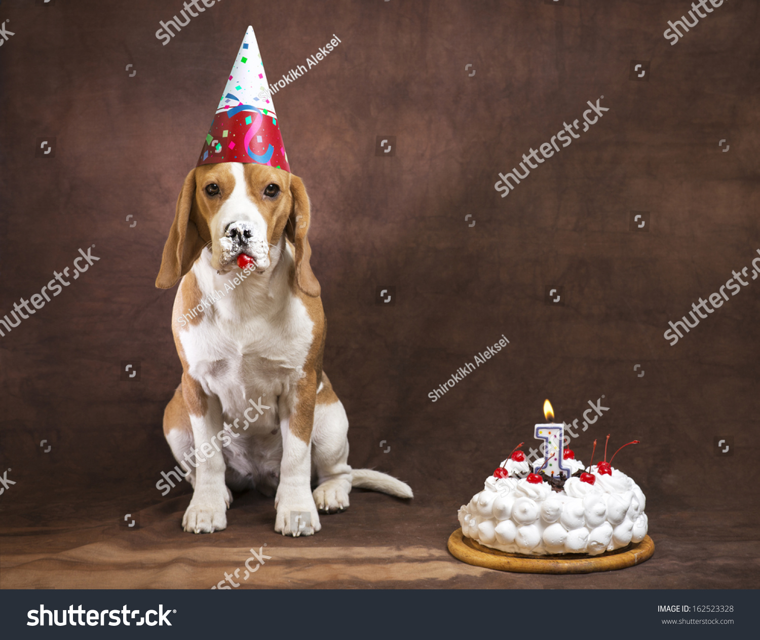 happy birthday beagles