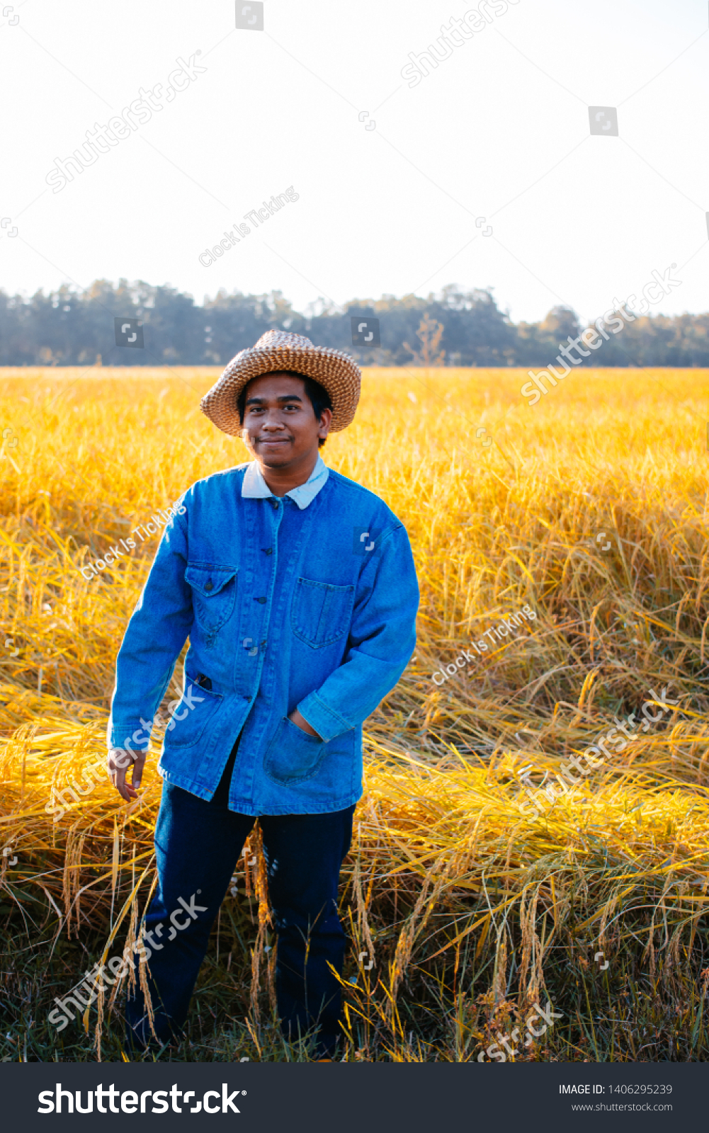 Happy Farmer His Rice Field Stock Photo 1406295239 Shutterstock