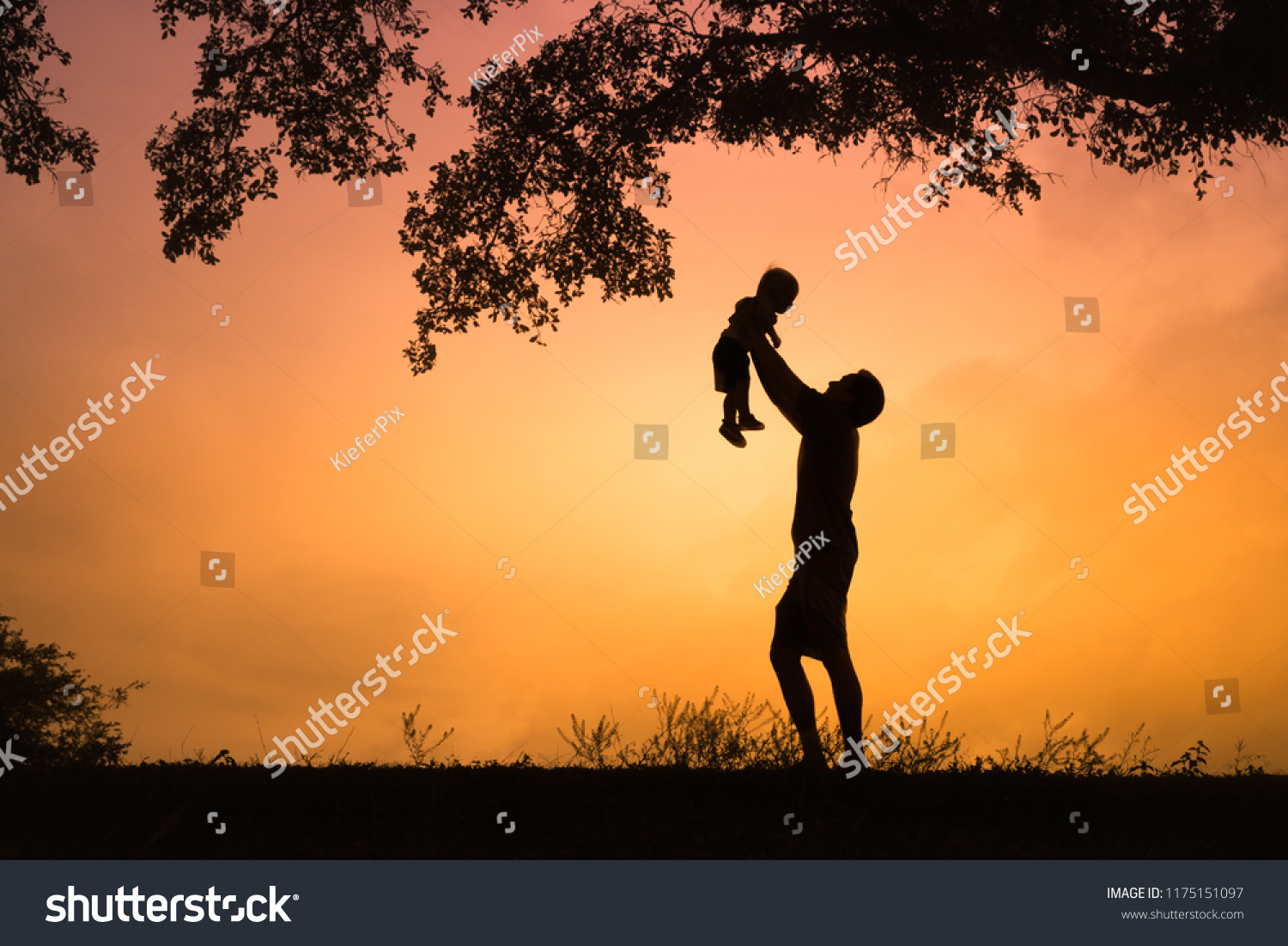 happy-father-son-outdoors-father-holding-stock-photo-1175151097