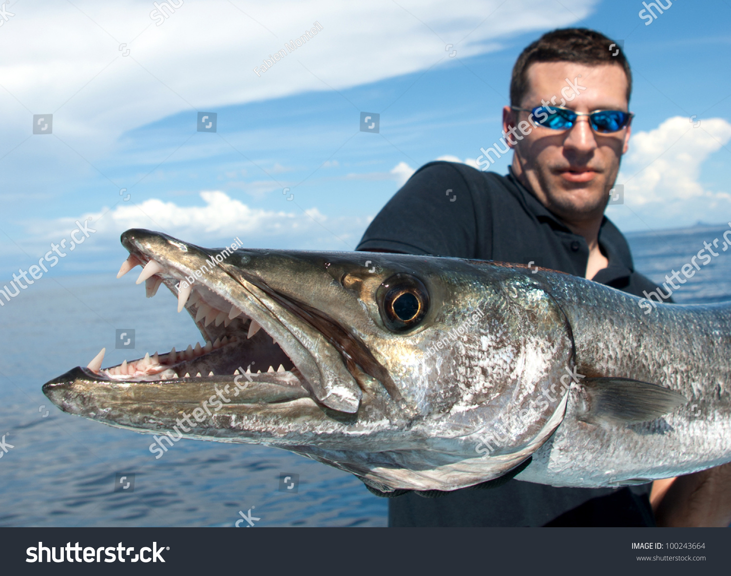 barracuda teeth photo