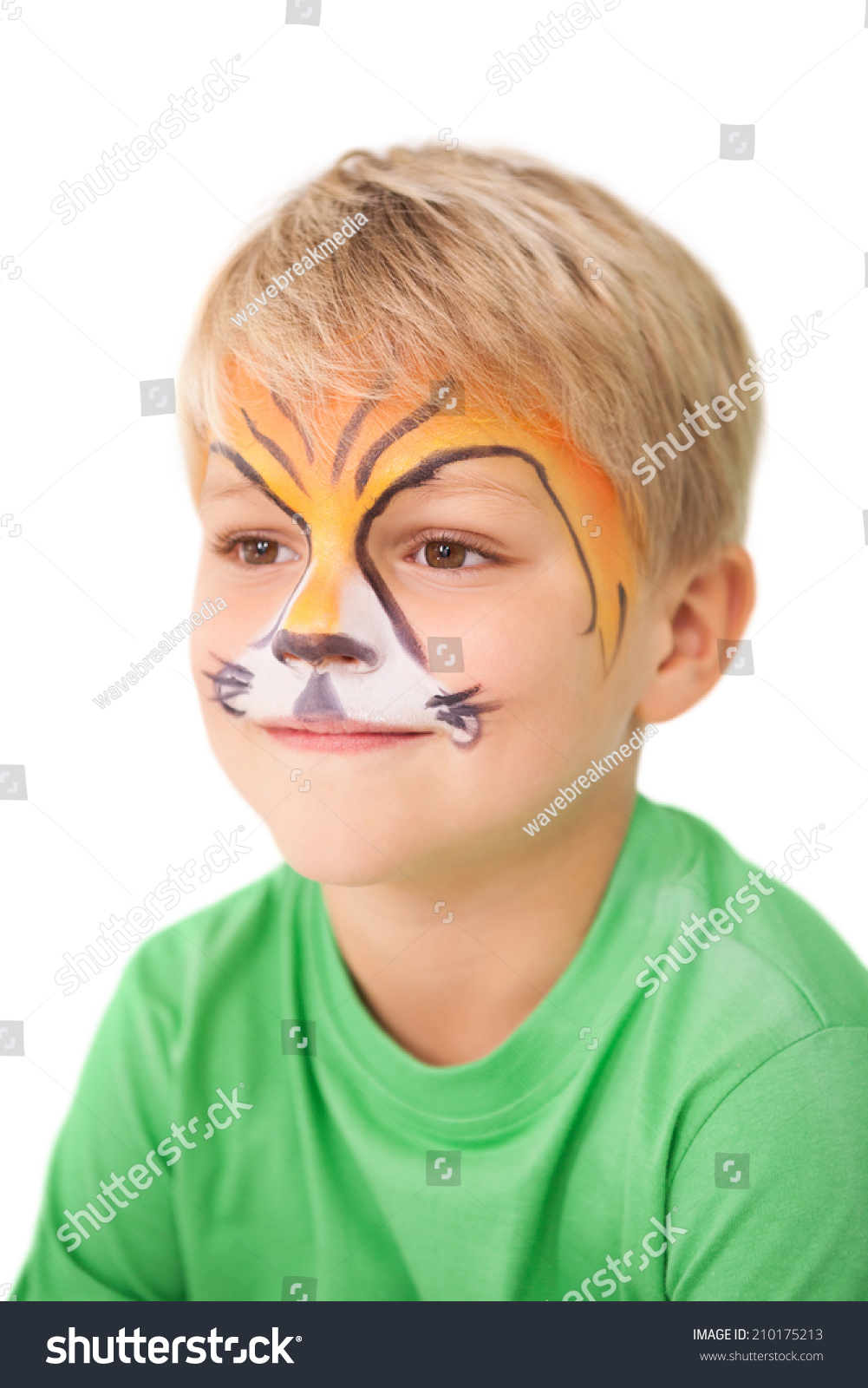 Happy Little Boy Tiger Face Paint Stock Photo Edit Now 210175213
