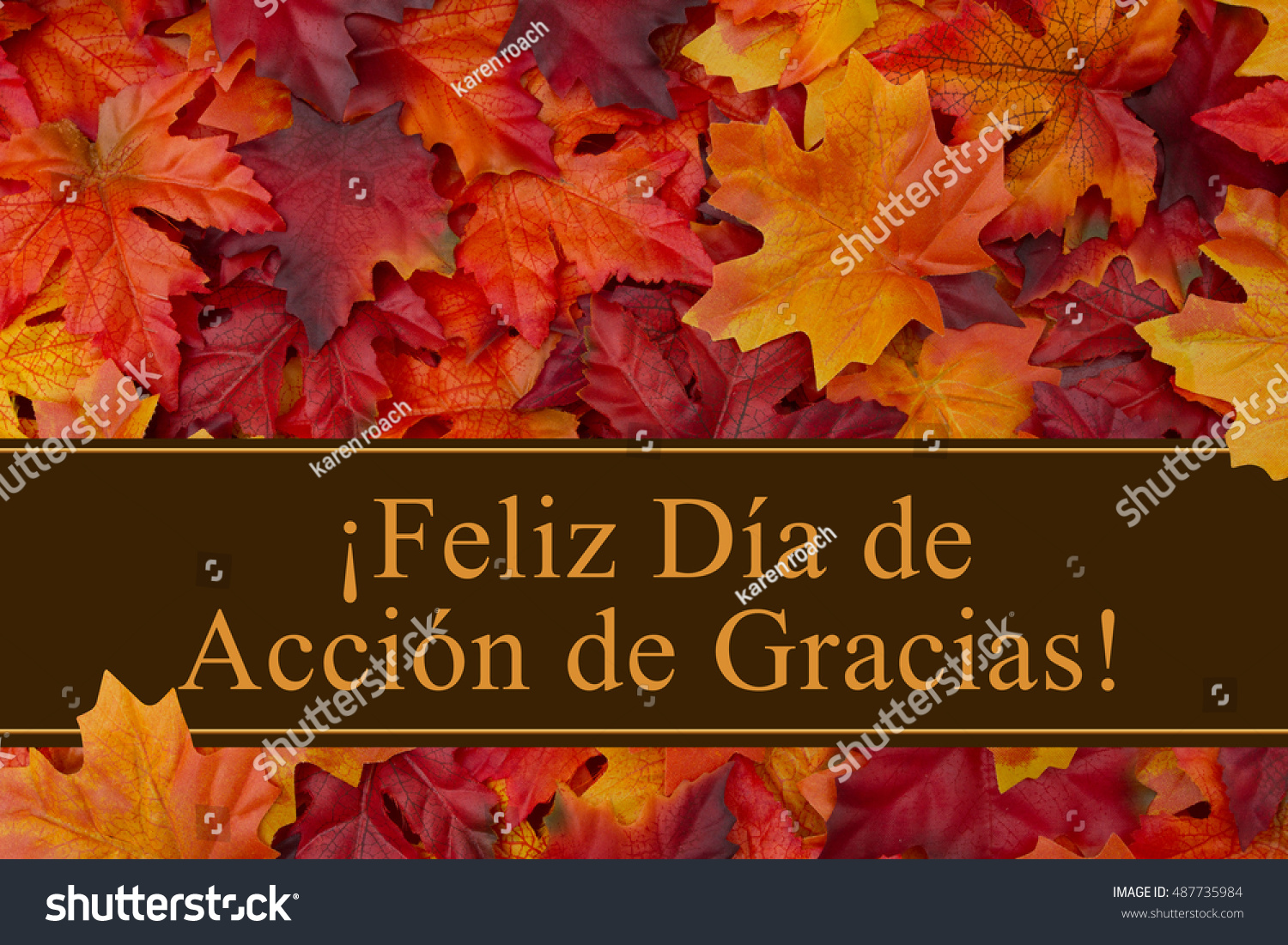 Happy Thanksgiving Greeting Spanish Some Fall Stock Photo Edit Now 487735984