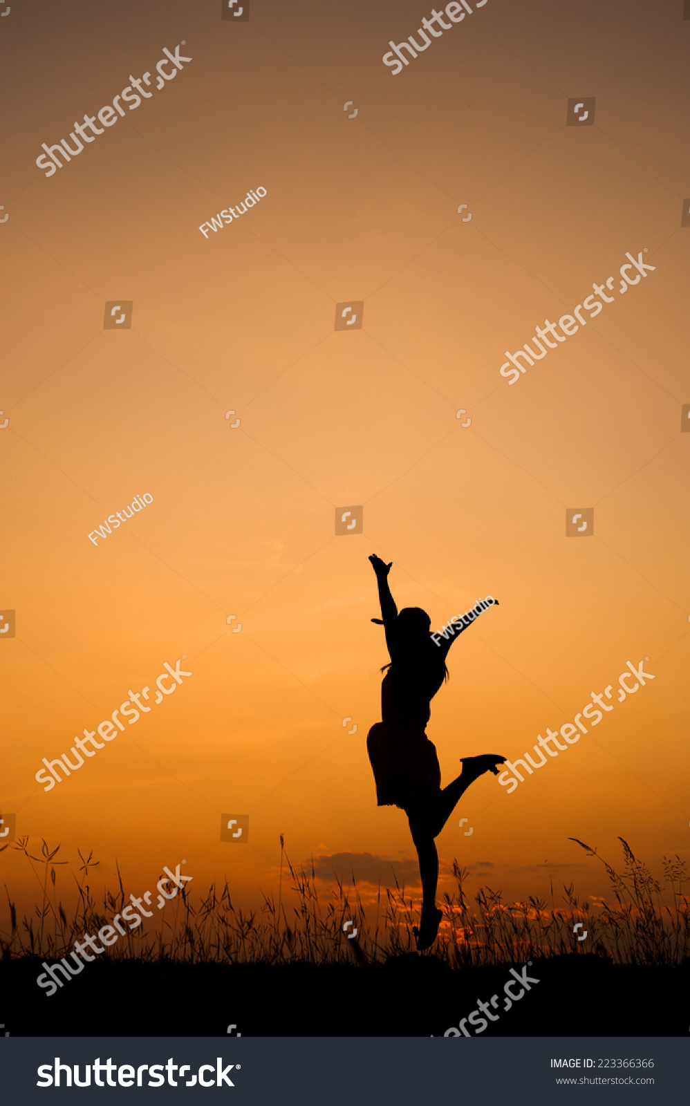 Happy Woman Jumping Sunset Silhouette Stock Photo 223366366 Shutterstock