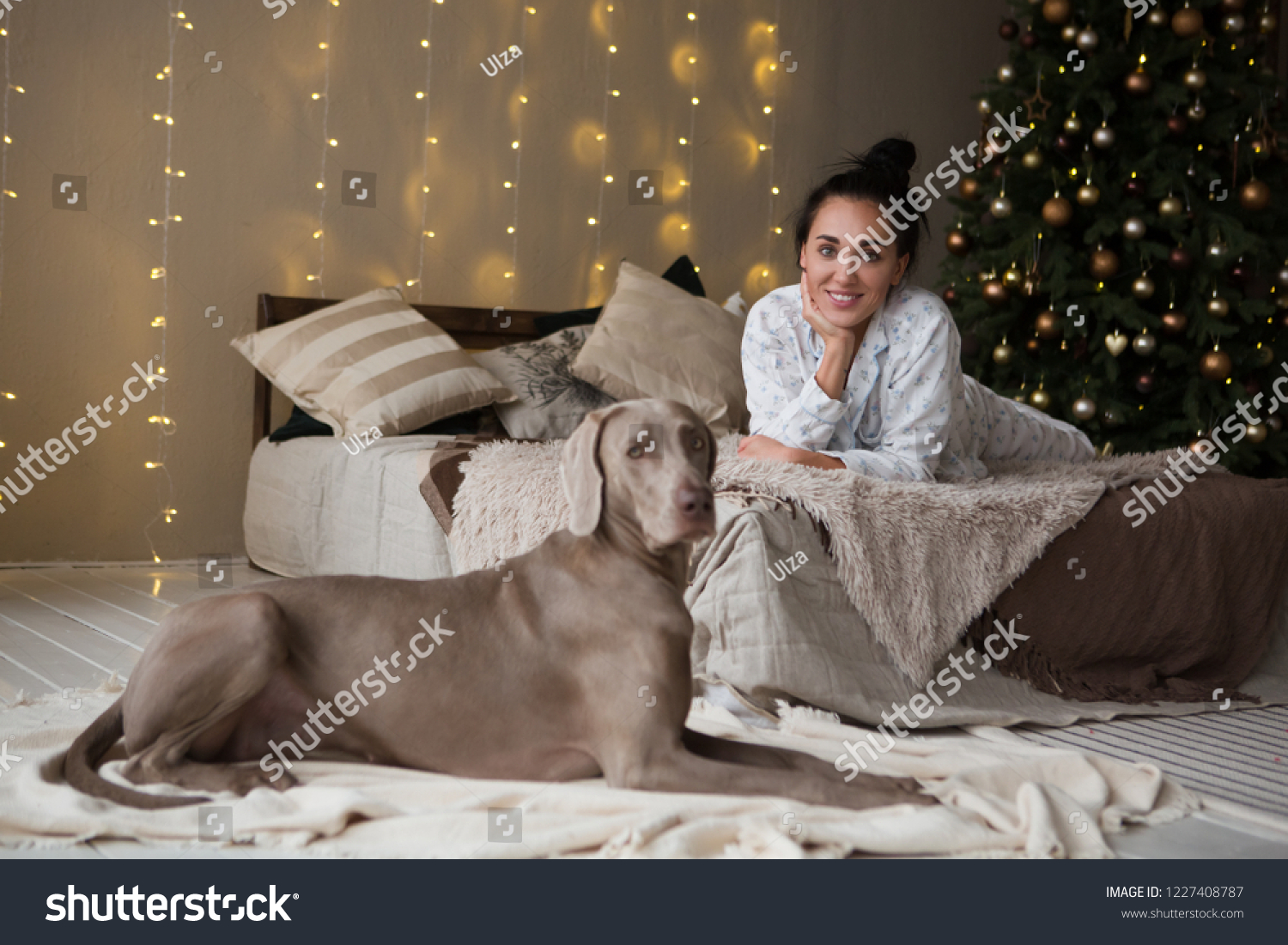 weimaraner pajamas