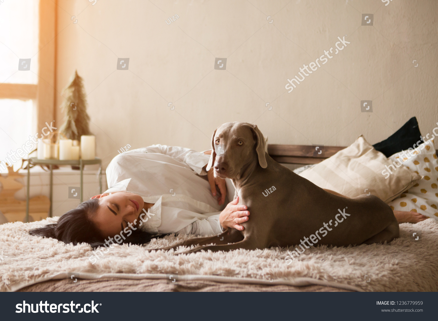 weimaraner pajamas