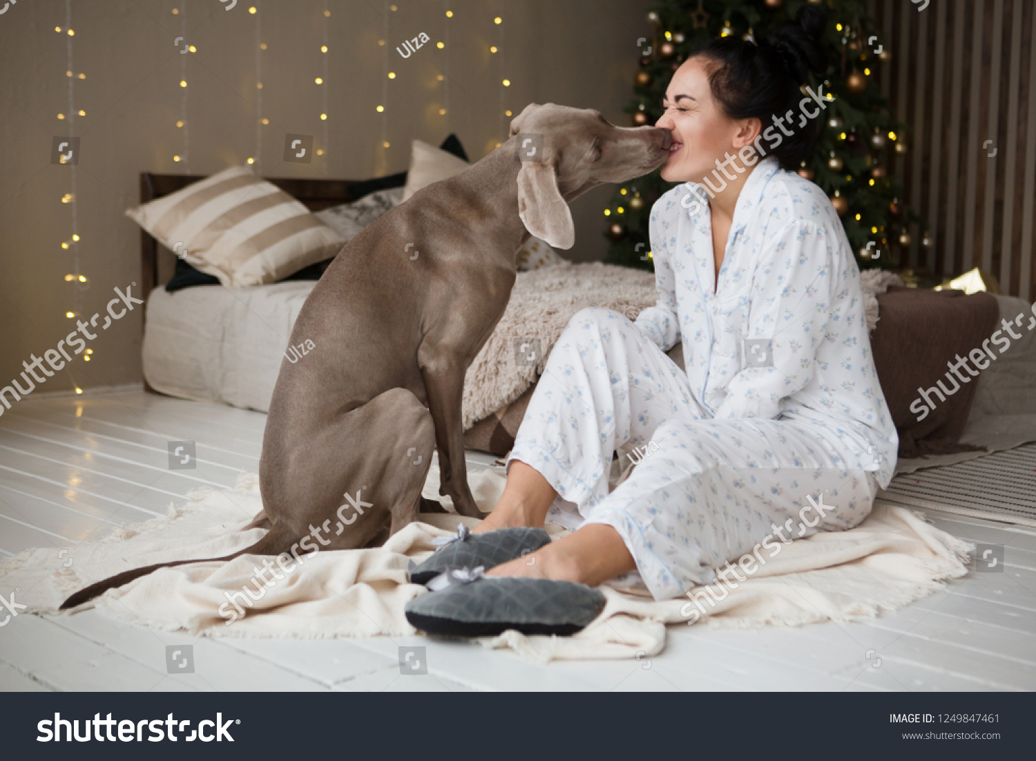 weimaraner pajamas