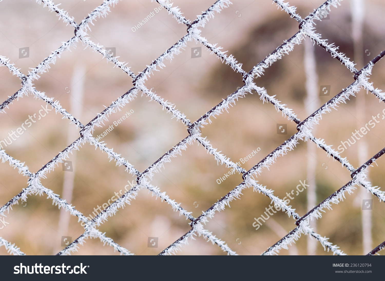 hard wire mesh