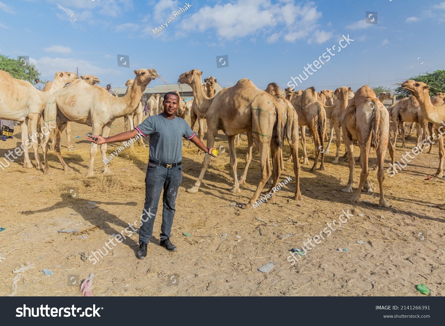 Hargeisa Somaliland April 15 2019 Local Stock Photo 2141266391 ...