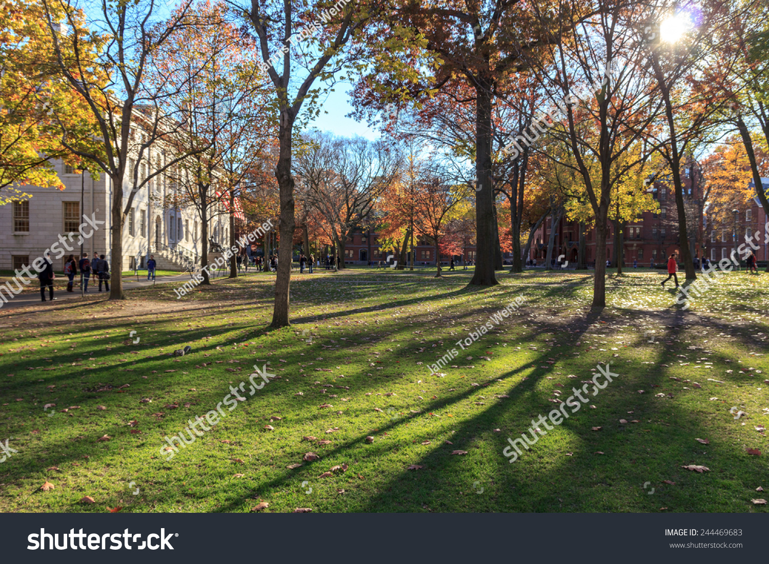 Harvard Yard, Old Heart Of Harvard University Campus, On A Beautiful ...