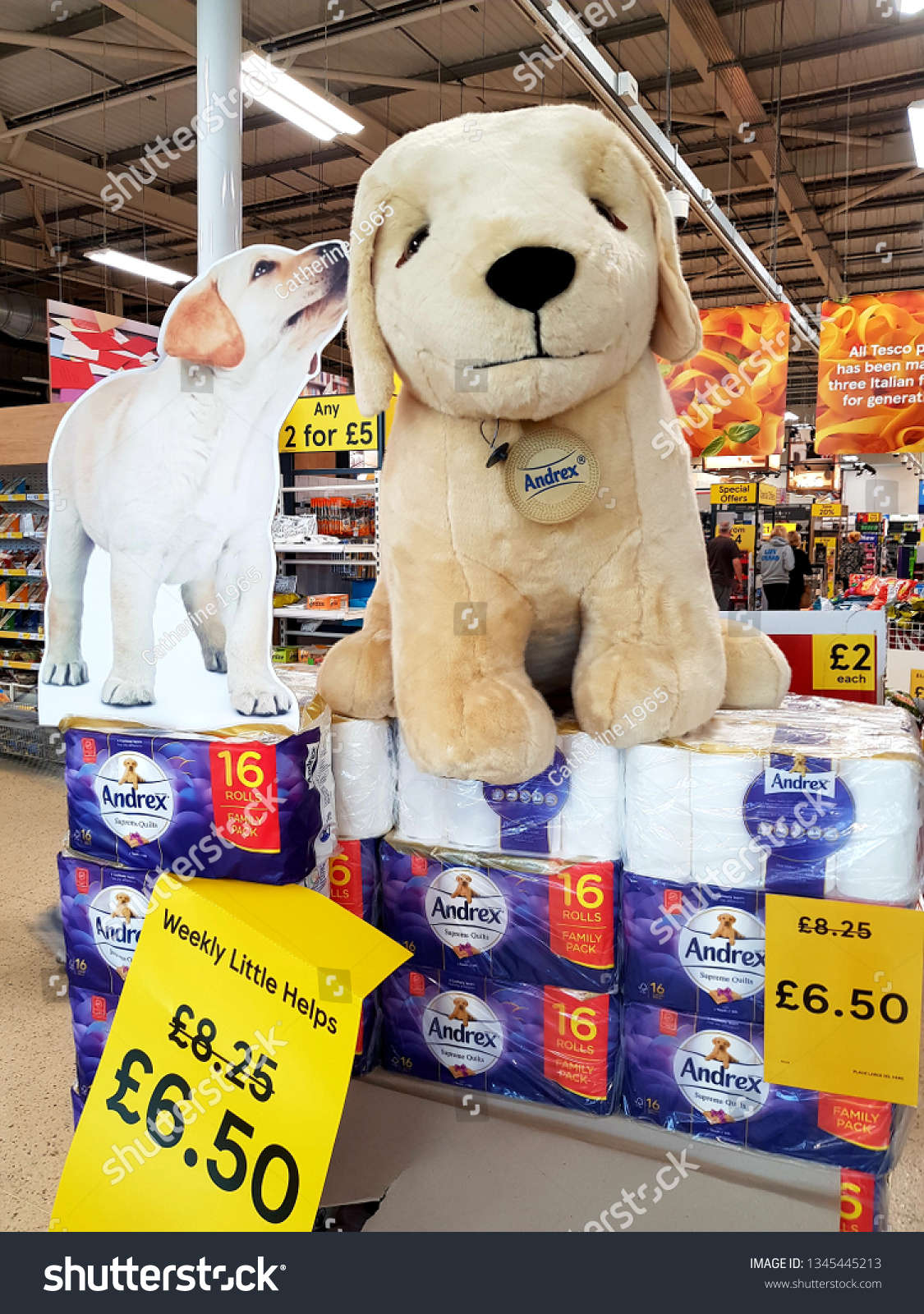 giant andrex puppy teddy