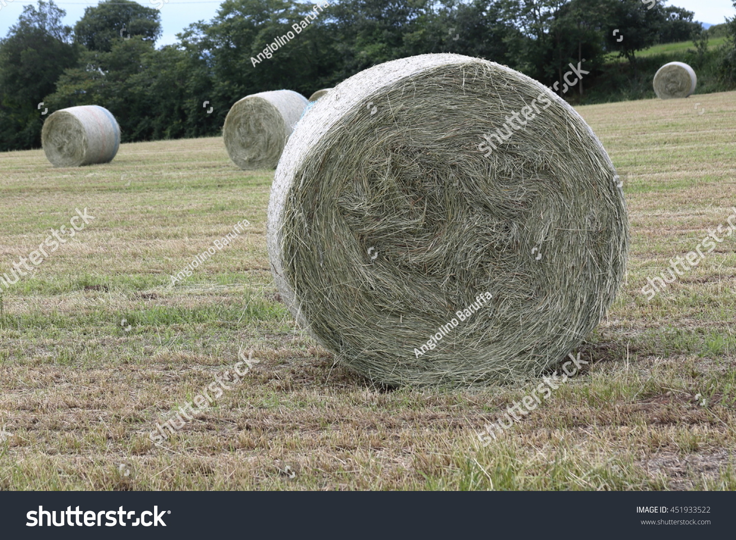 Three Hay Bales Round Bale Nets Stock Photo Shutterstock