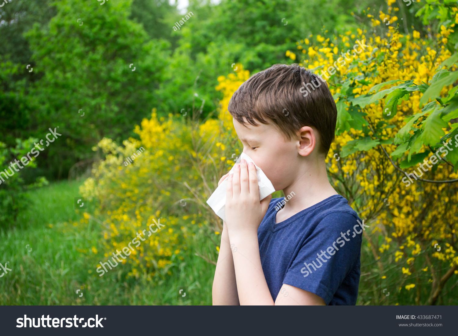 Hay Fever - Allergic Rhinitis In Children Stock Photo 433687471 ...