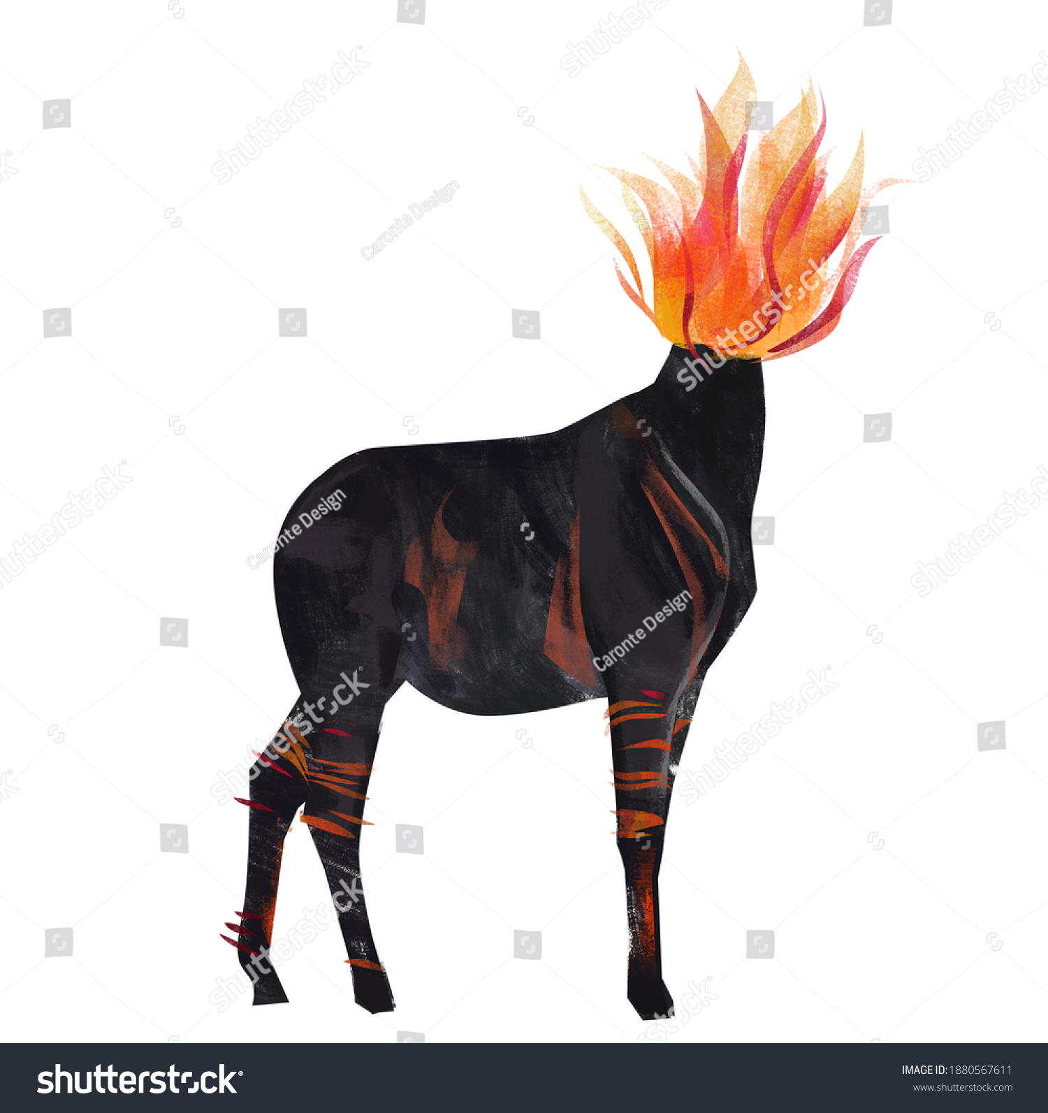 Mula animal : 87 images, photos et images vectorielles de stock