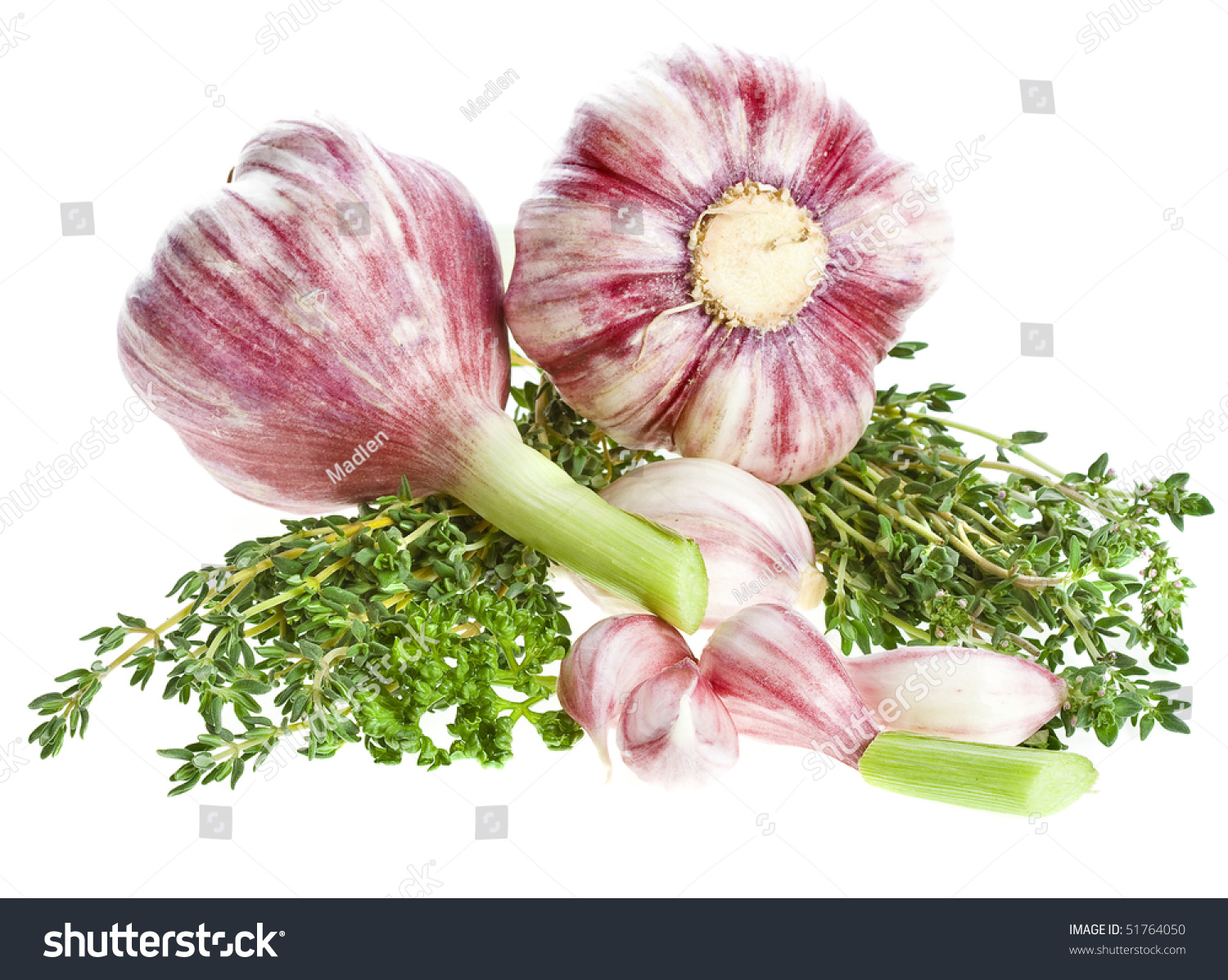 Heads Garlic With Thyme Isolated On White Background Stock Photo ...