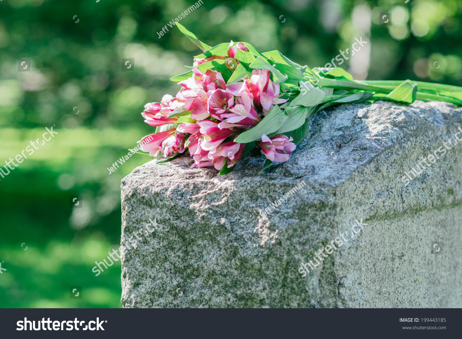 36,905 Flowers on grave Stock Photos, Images & Photography Shutterstock