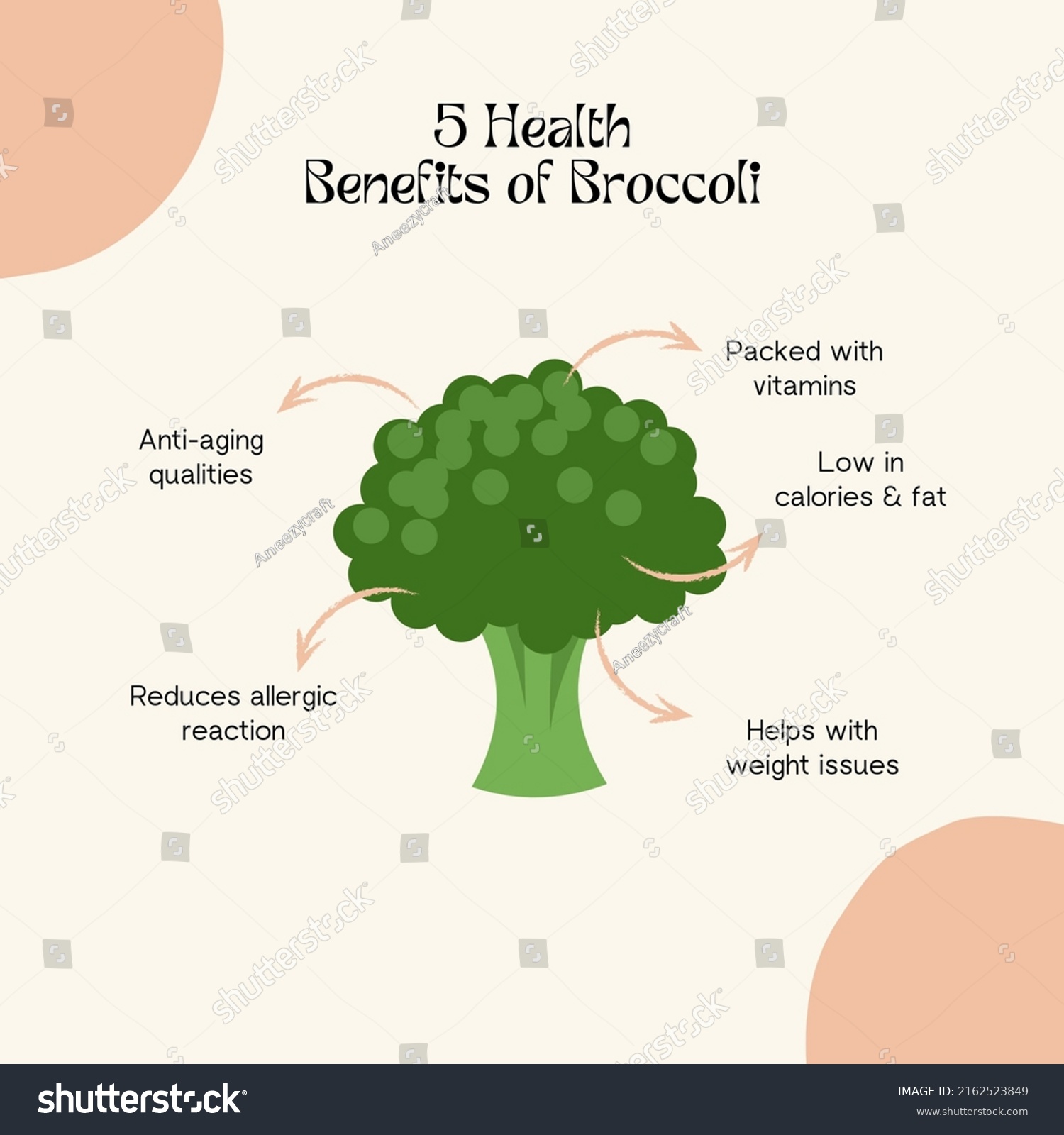 Health Benefits Broccoli Infographic Illustration Stock Illustration ...