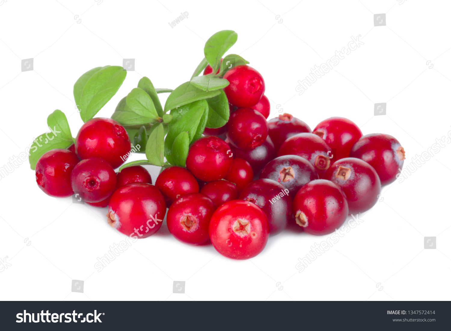 Marshberry Images, Stock Photos & Vectors | Shutterstock