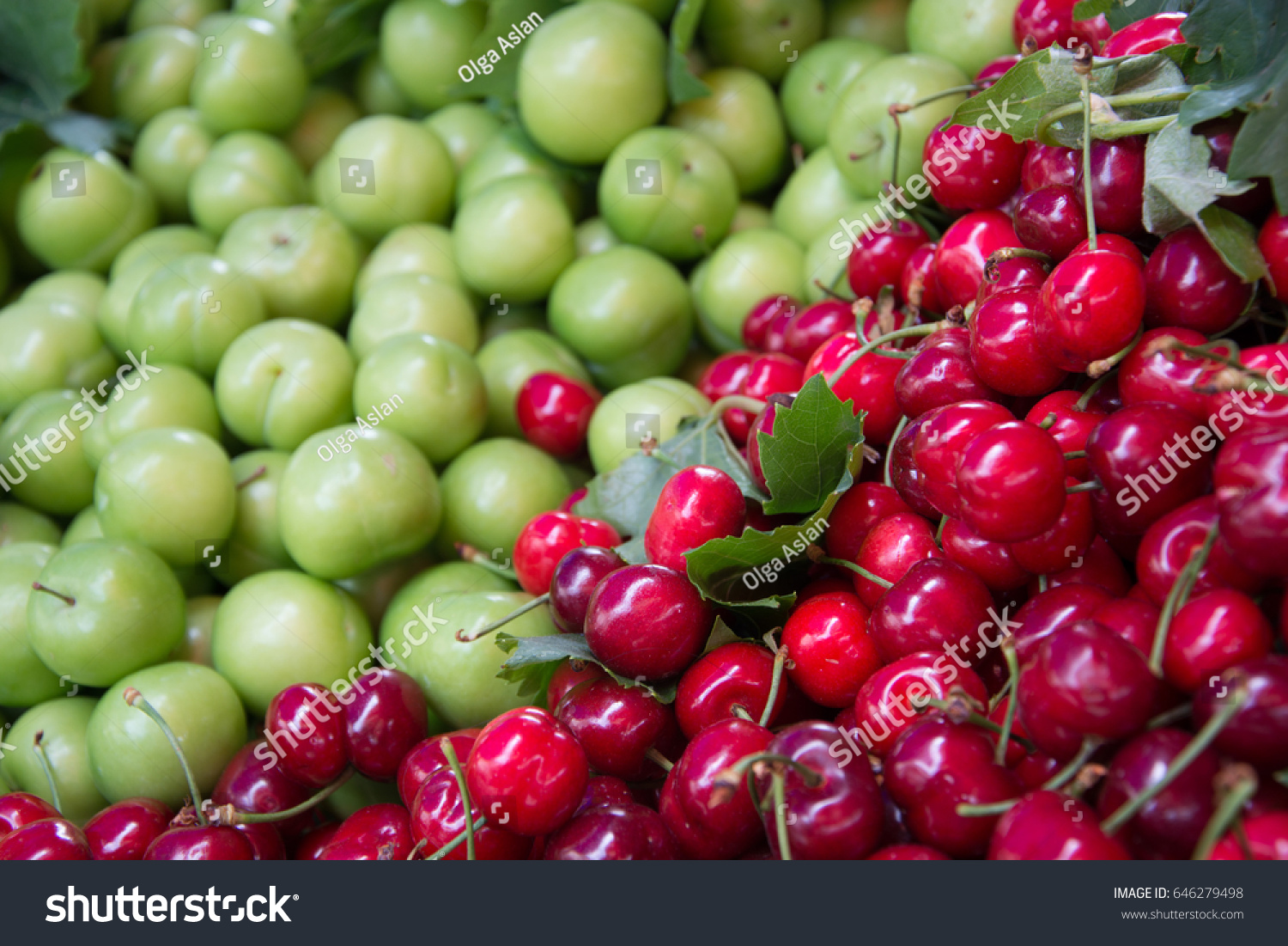 Heap Fresh Organic Green Plums Cherries Stock Photo Edit Now