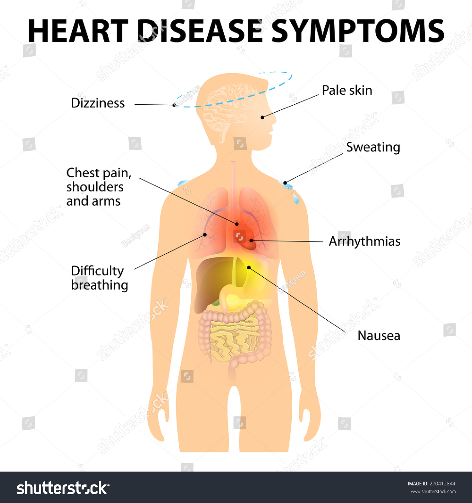 What are some symptoms of heart damage?
