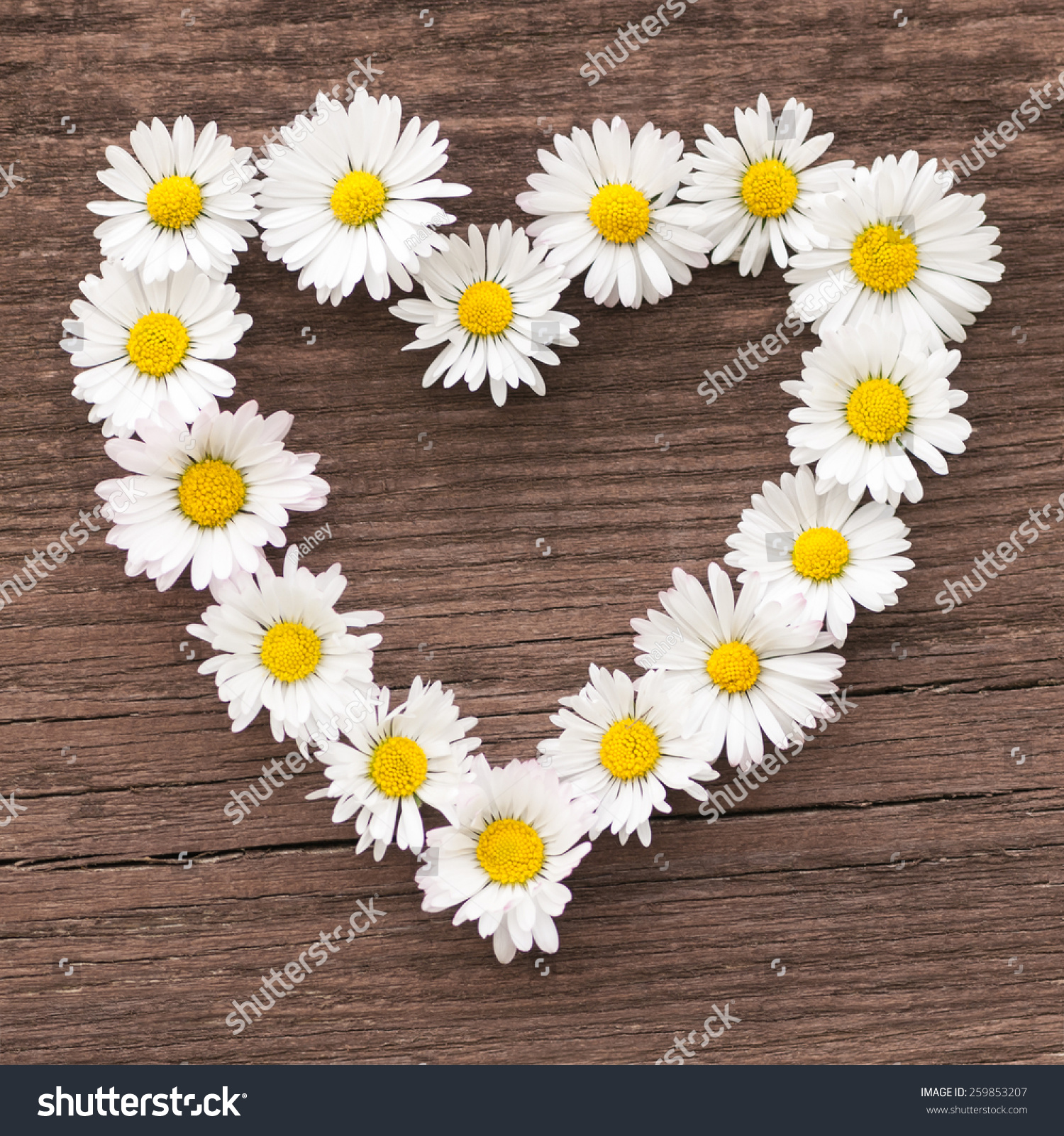 Download Heart Daisies On Wooden Background Declaration Stock Photo Edit Now 259853207