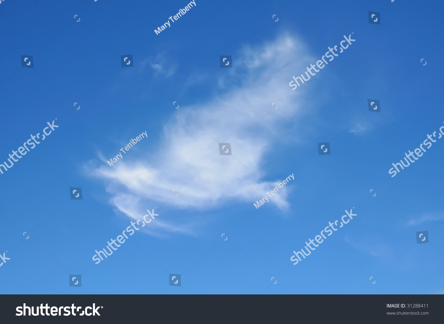 Heavenly Bird In The Sky Cloud Horizontal Stock Photo 31288411 ...