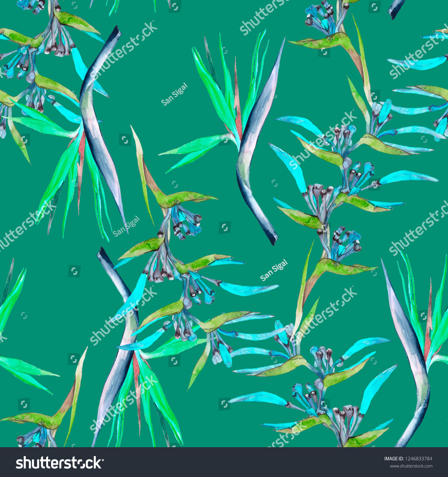 Heliconia Subulata Bird Paradise Flowers Watercolor Stock Illustration